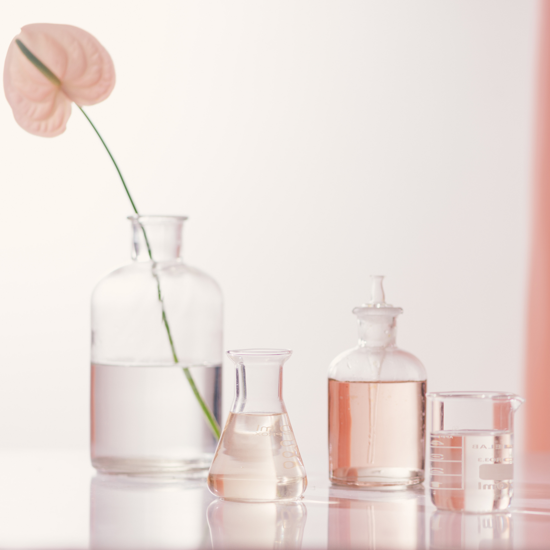 Nature Effiscience