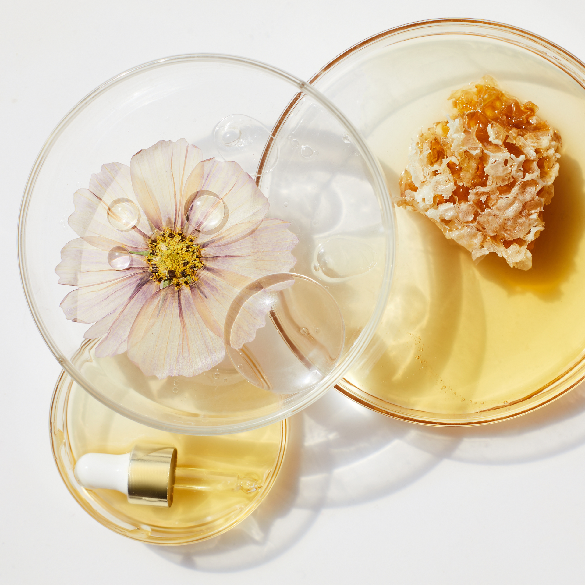 Nature Effiscience